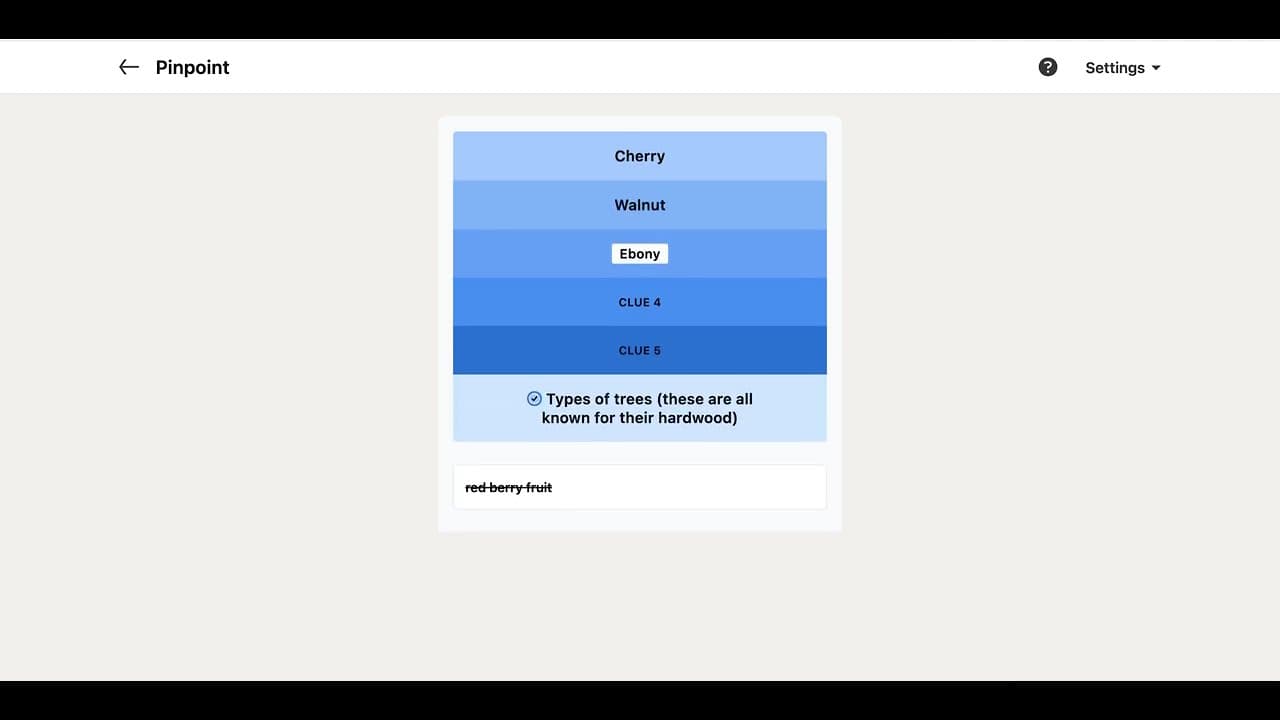 Pinpoint Answer Video Guide